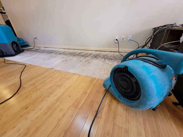 Professional Emergency Water Damage technician working in Skamokawa, WA